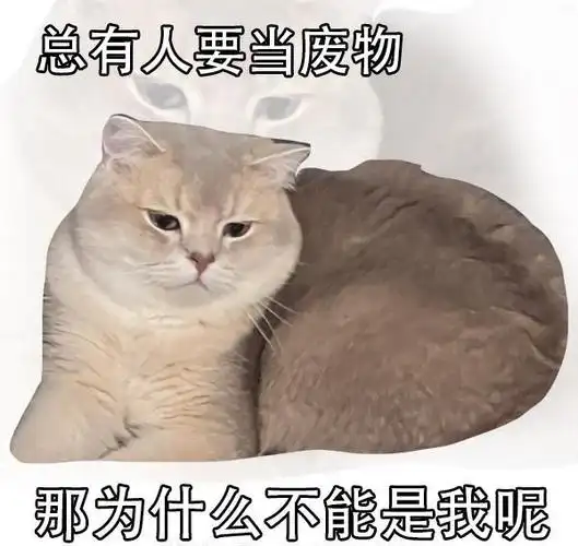 猫猫表情包! 总有人要当废物 那为什么不能是我呢_高清图集_新浪网