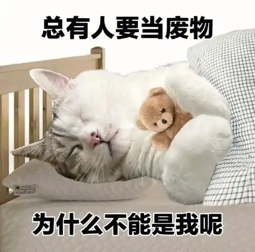 没错我只想当个废物