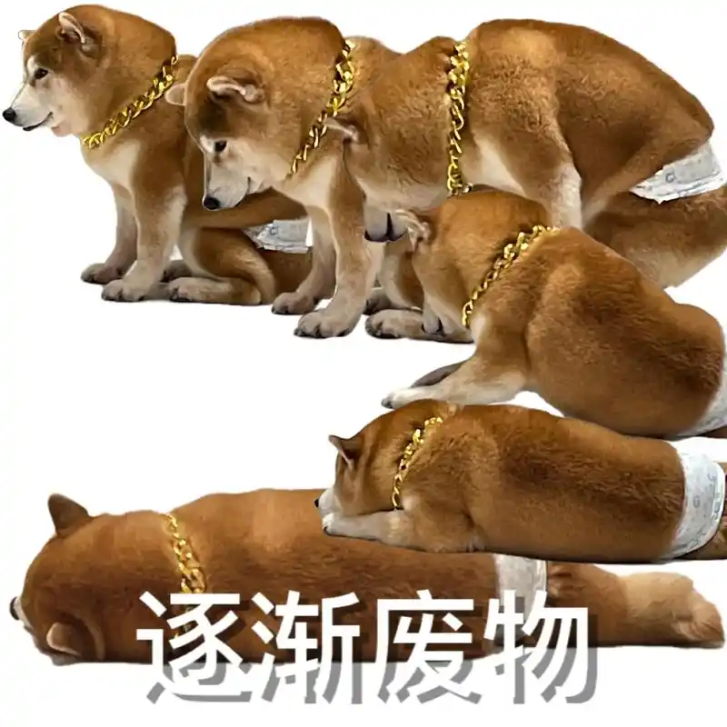 总有人要当fw,为什么不能是我呢#表情包 #柴犬 #搞笑 # - 抖音